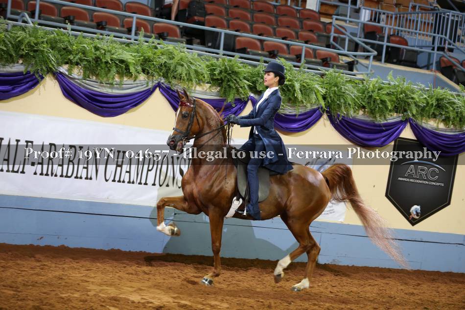 Proof 19YN_04657