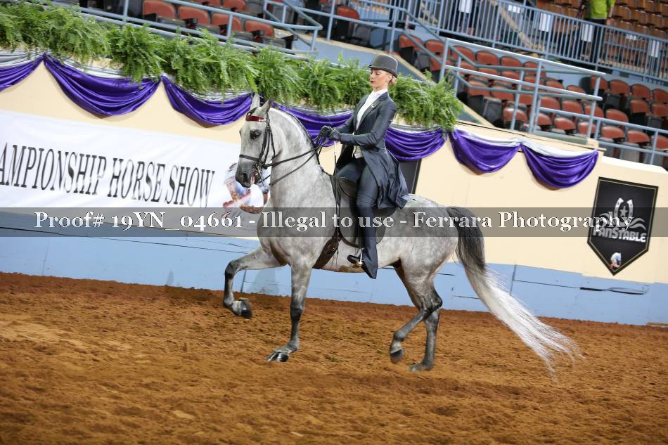 Proof 19YN_04661