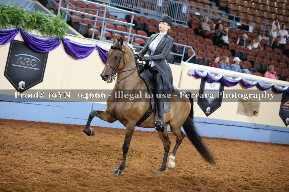 Proof 19YN_04666