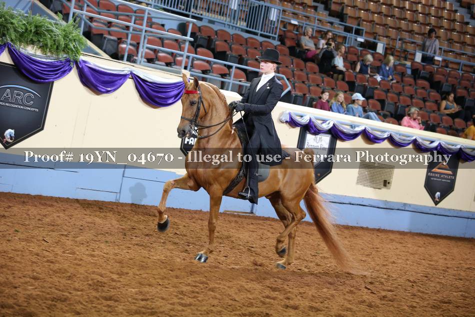Proof 19YN_04670