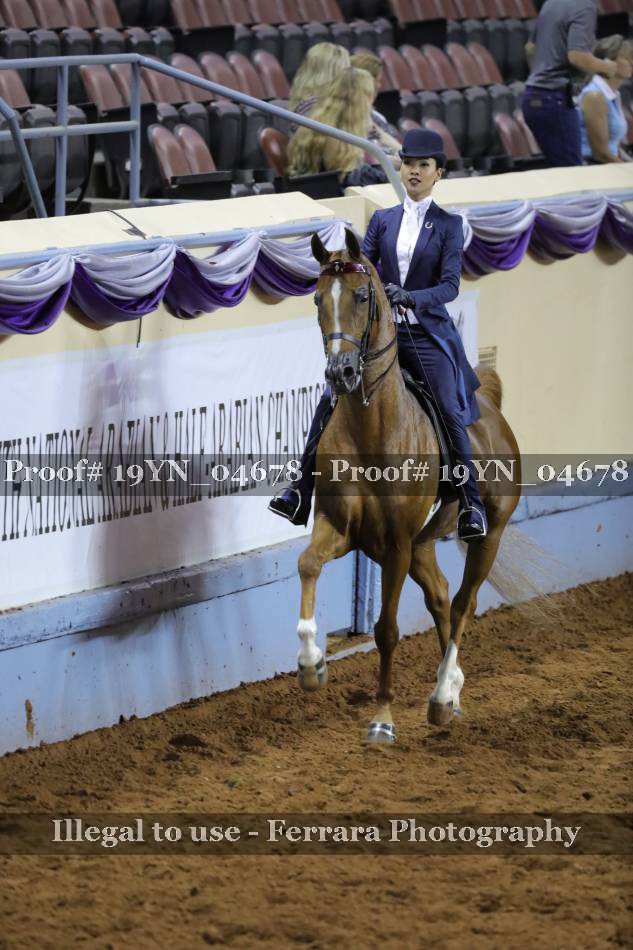 Proof 19YN_04678