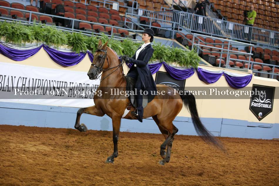 Proof 19YN_04683