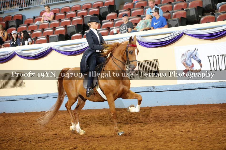 Proof 19YN_04703