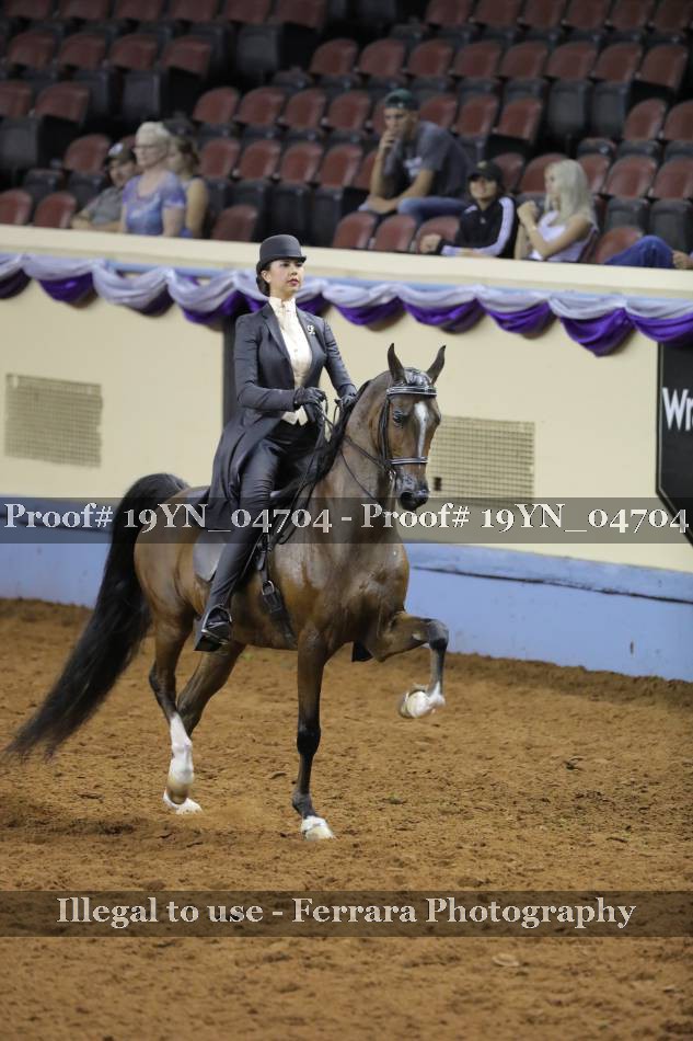 Proof 19YN_04704