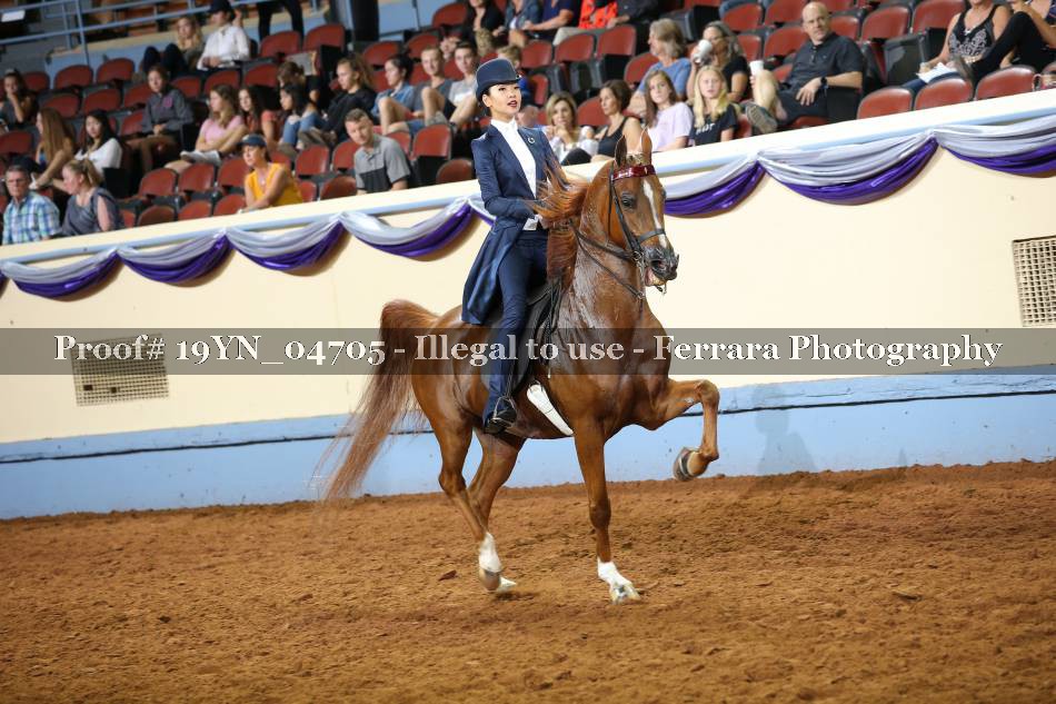 Proof 19YN_04705