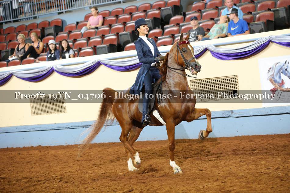 Proof 19YN_04706
