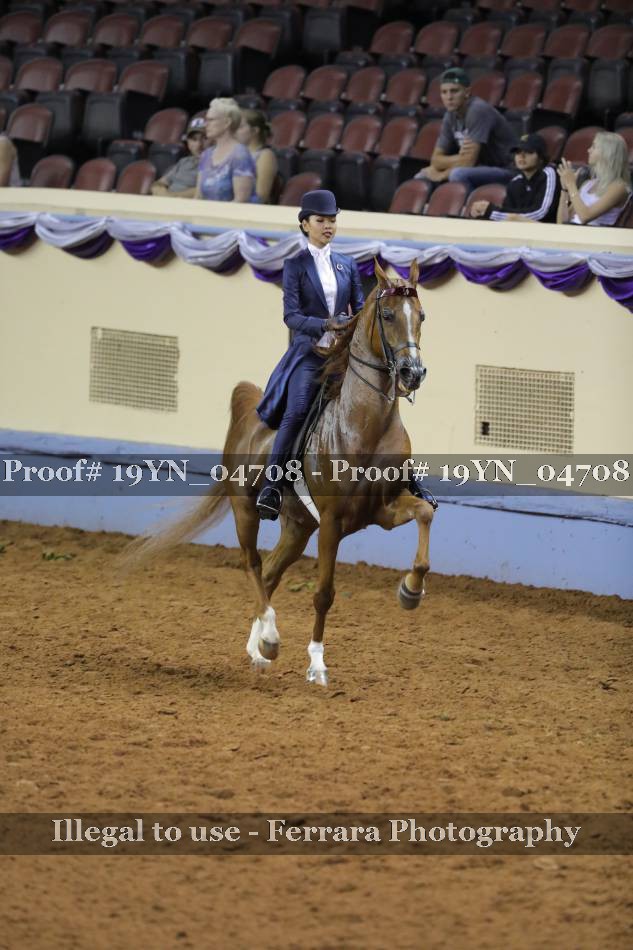 Proof 19YN_04708
