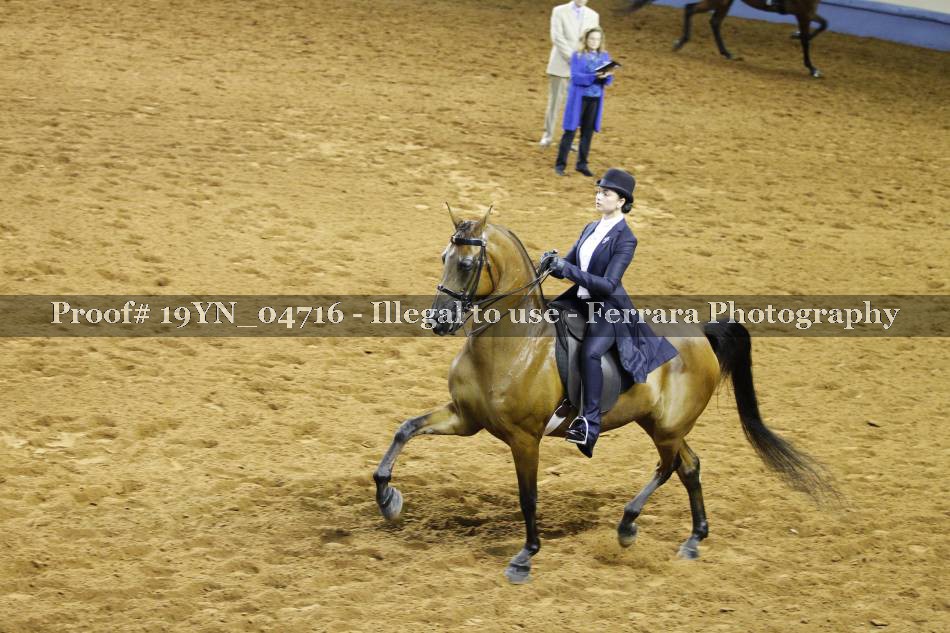Proof 19YN_04716