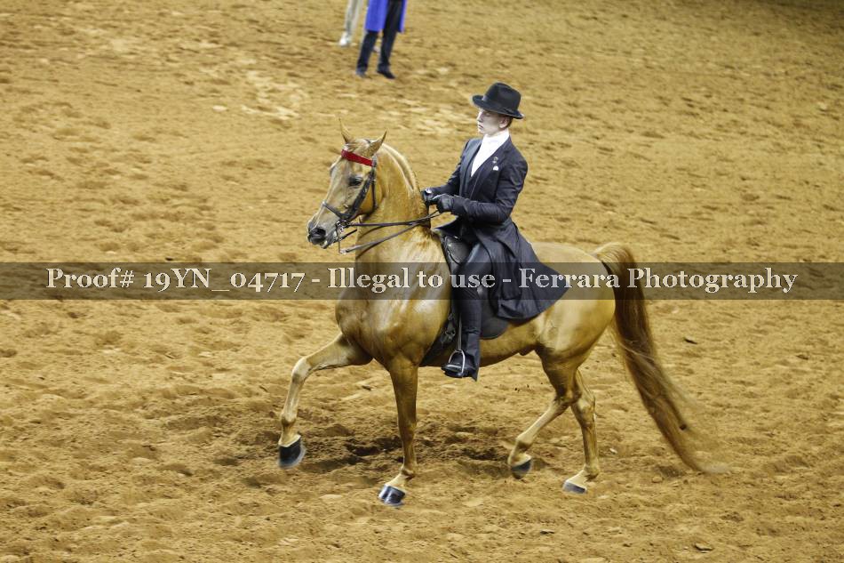 Proof 19YN_04717