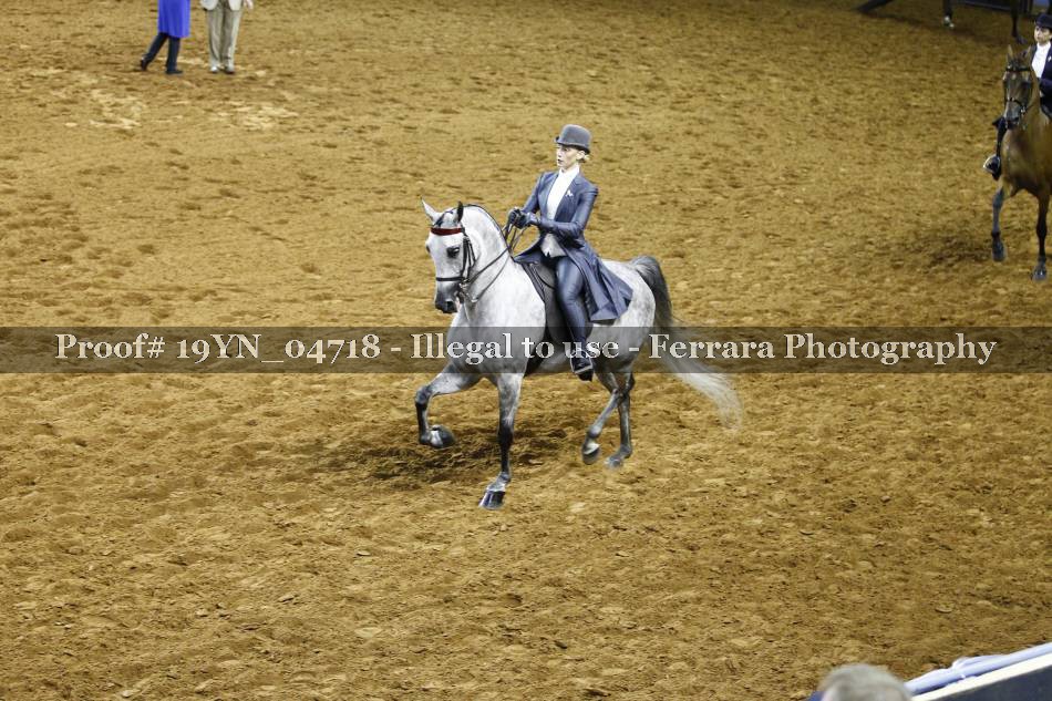 Proof 19YN_04718