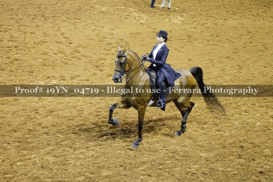 Proof 19YN_04719