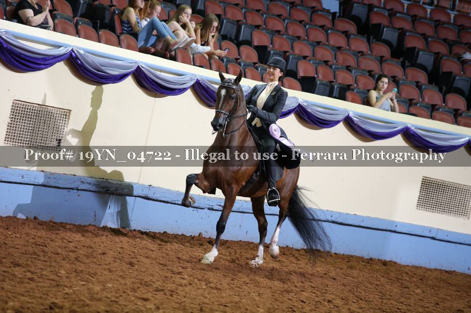 Proof 19YN_04722
