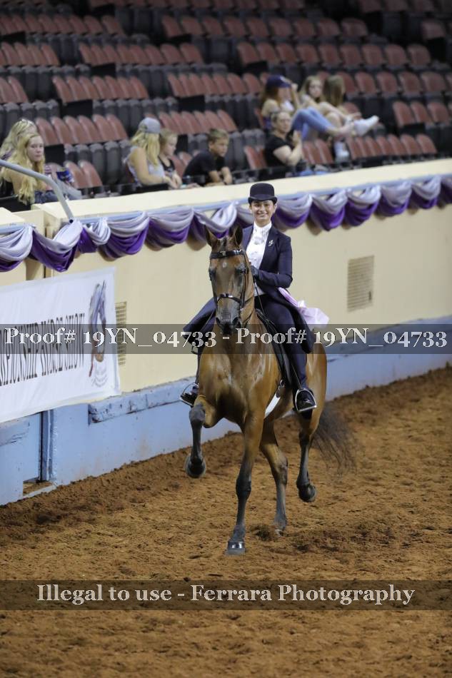 Proof 19YN_04733