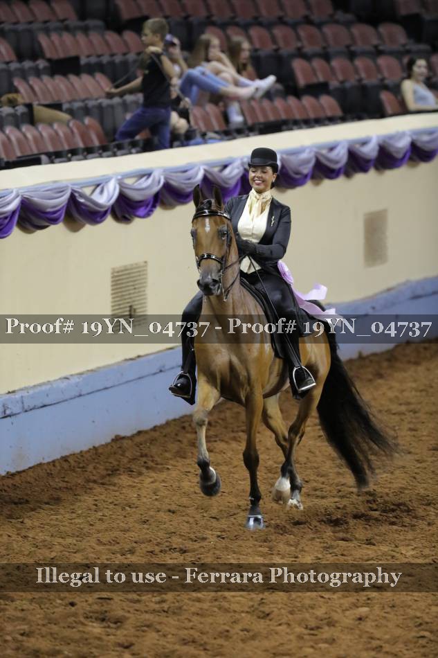Proof 19YN_04737