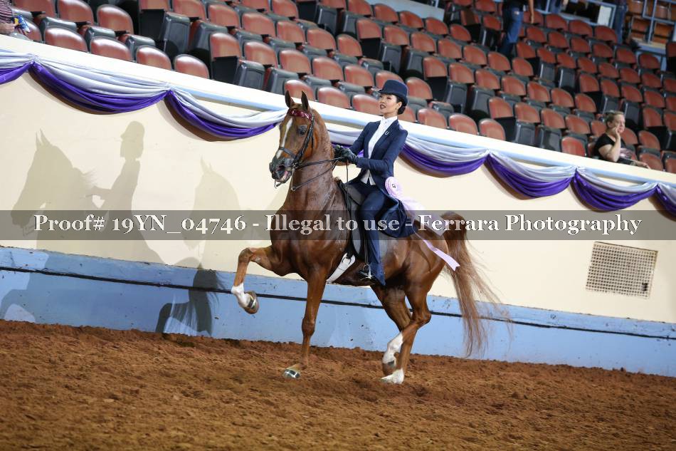 Proof 19YN_04746