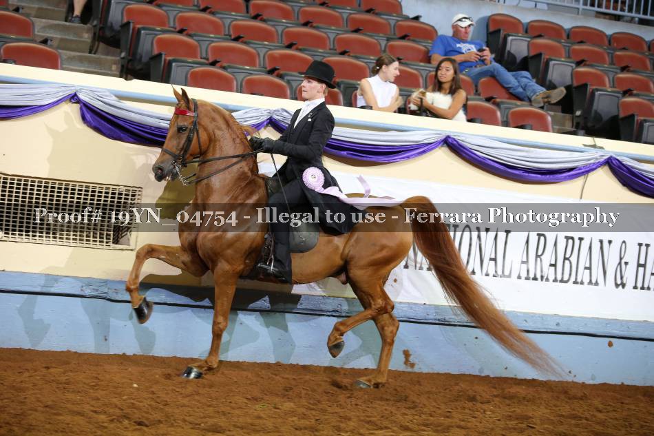 Proof 19YN_04754