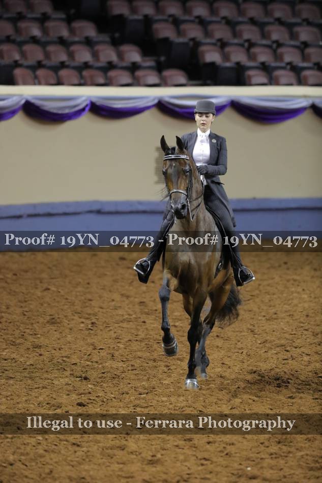 Proof 19YN_04773