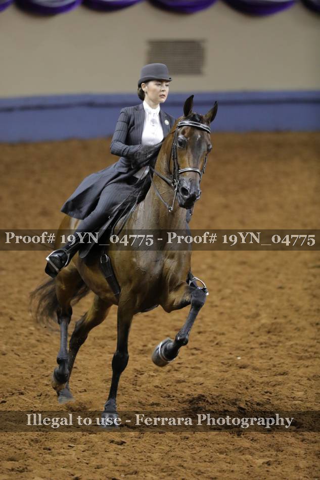 Proof 19YN_04775