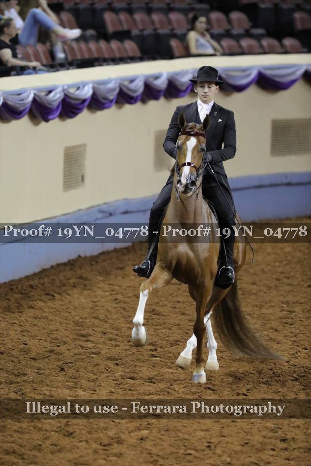 Proof 19YN_04778
