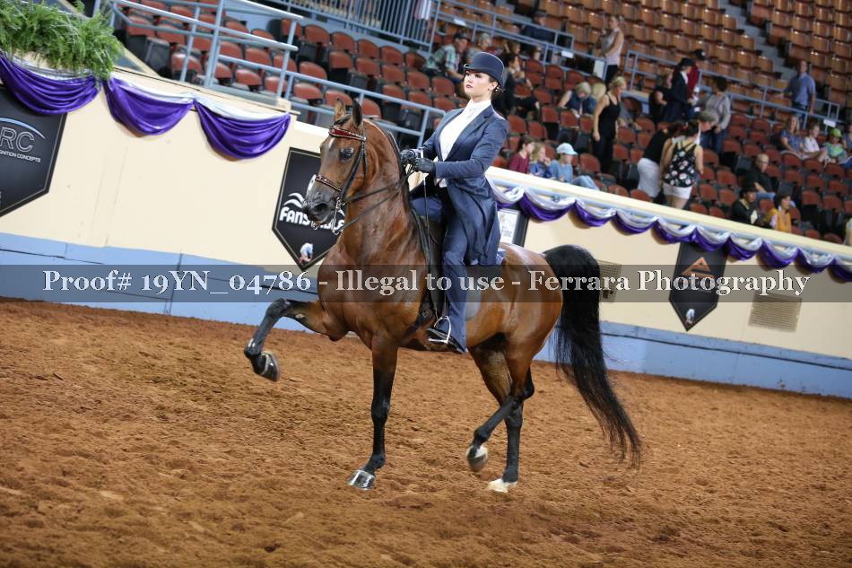 Proof 19YN_04786