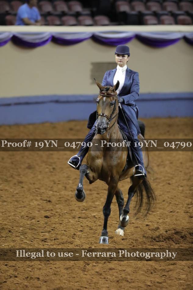 Proof 19YN_04790