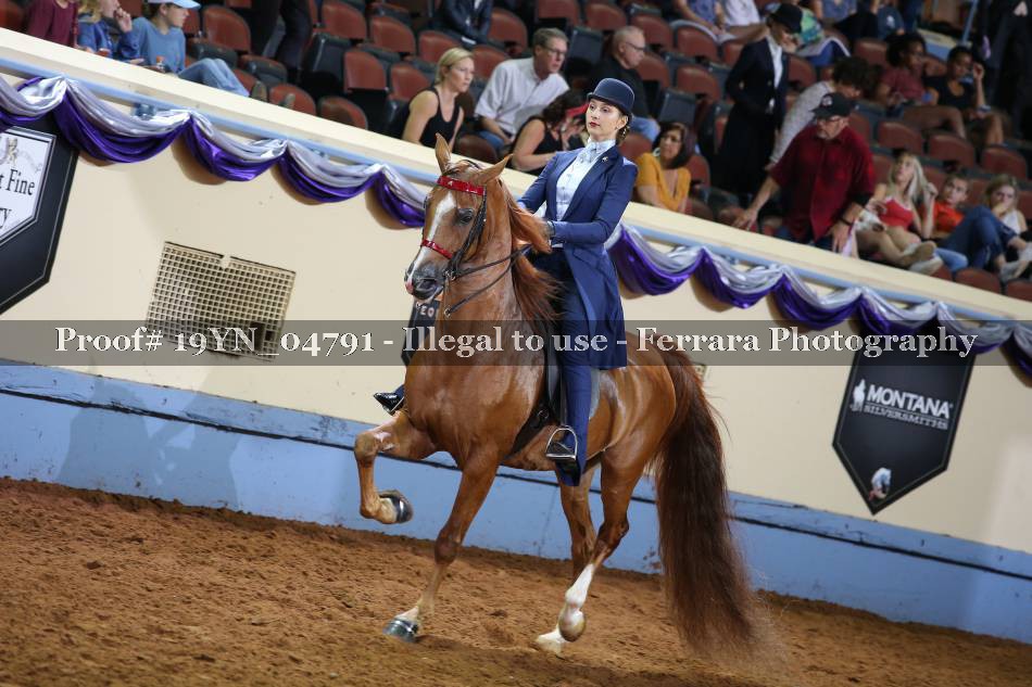 Proof 19YN_04791