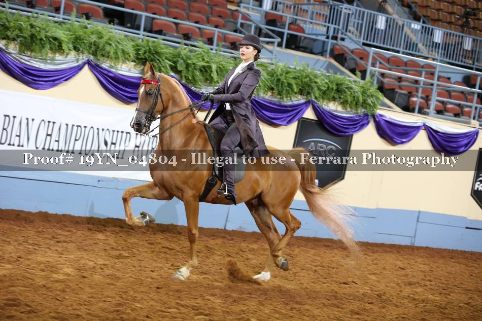 Proof 19YN_04804