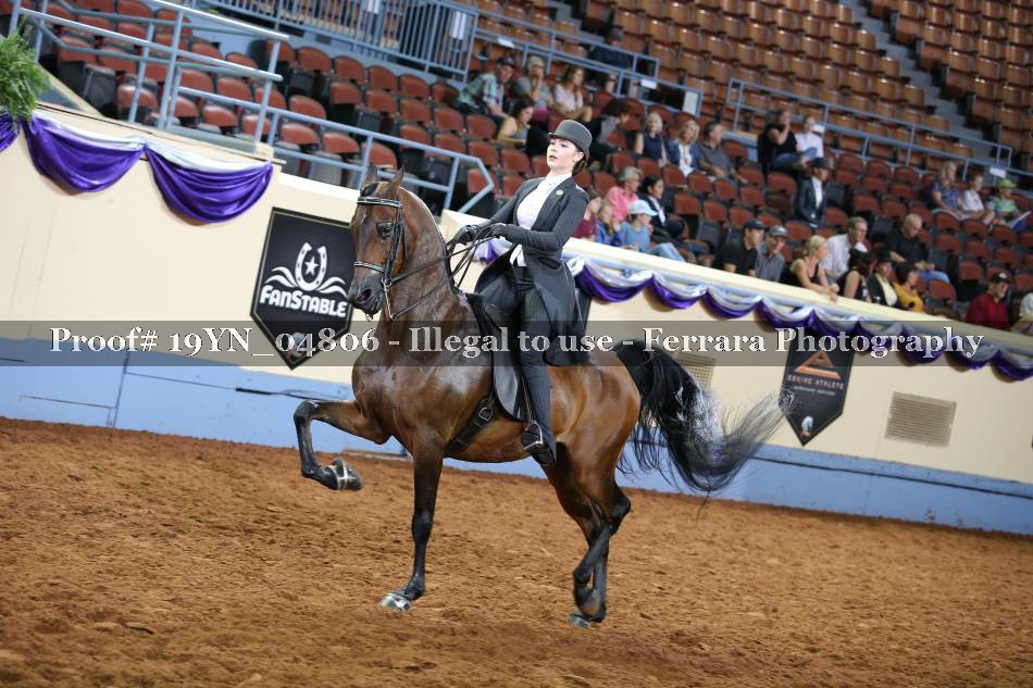 Proof 19YN_04806