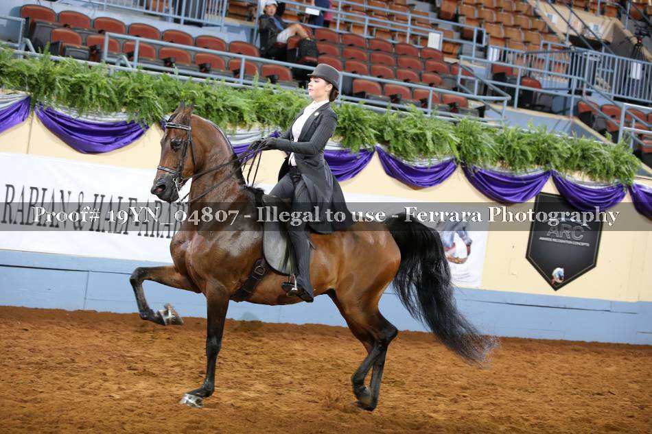 Proof 19YN_04807