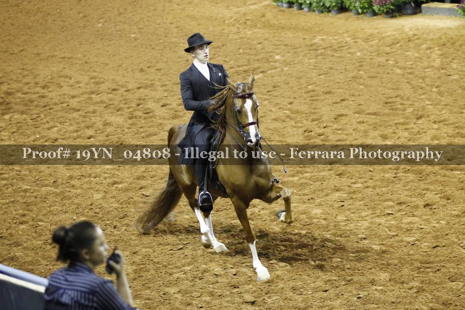 Proof 19YN_04808