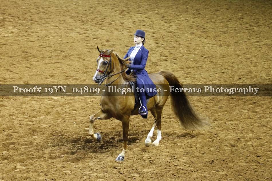 Proof 19YN_04809