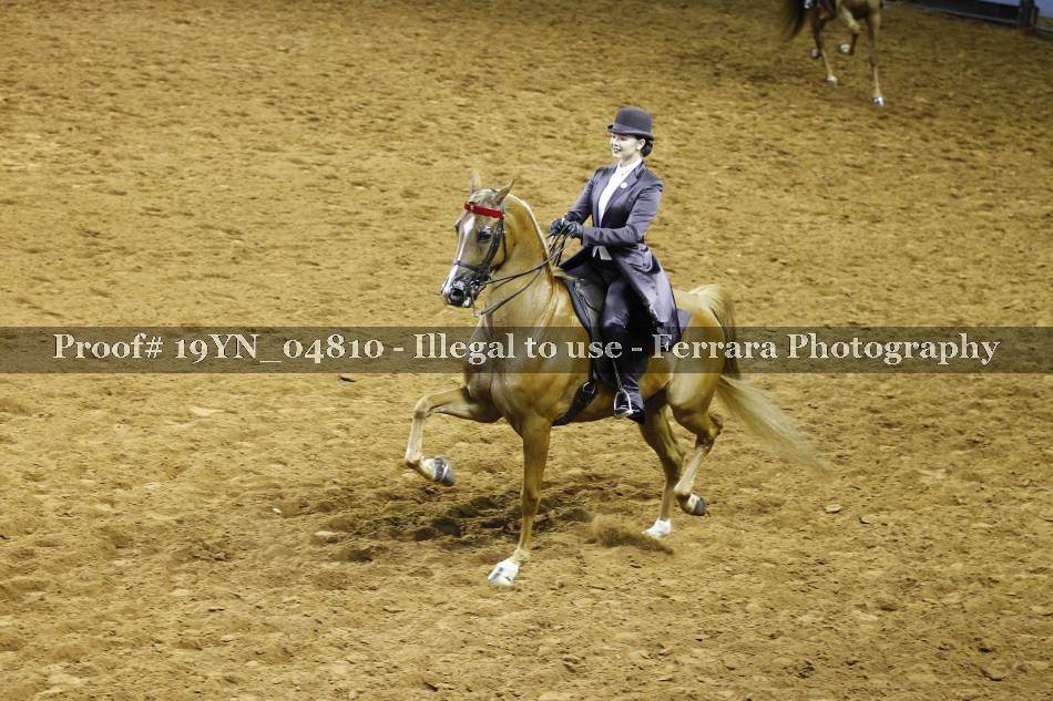 Proof 19YN_04810