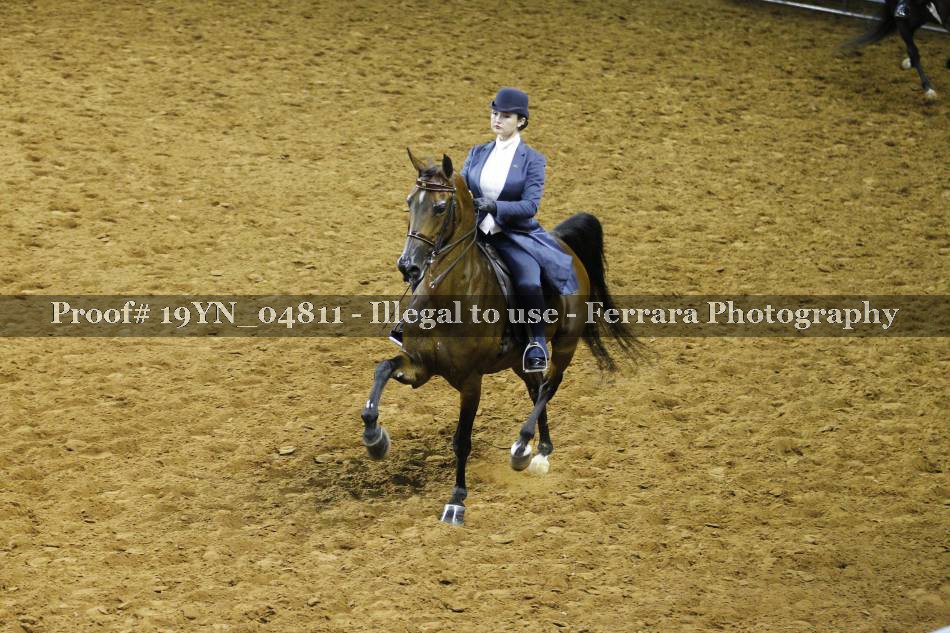 Proof 19YN_04811