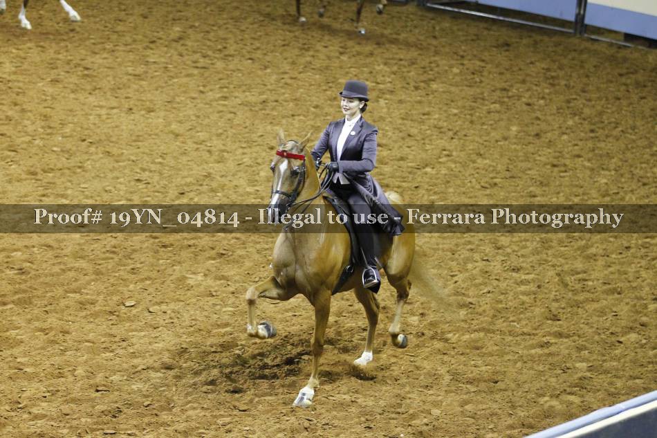 Proof 19YN_04814