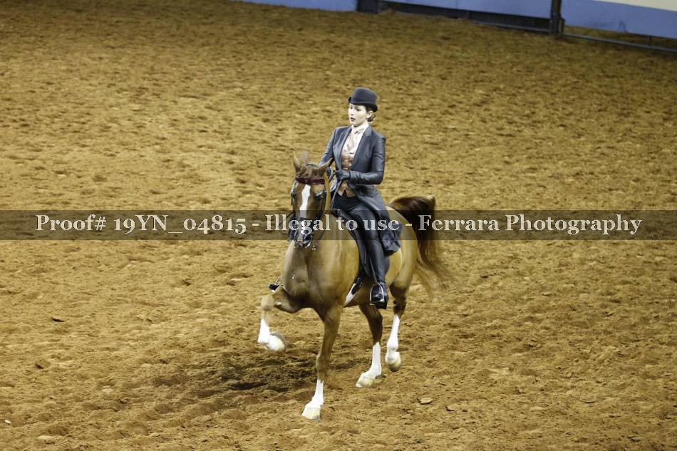 Proof 19YN_04815