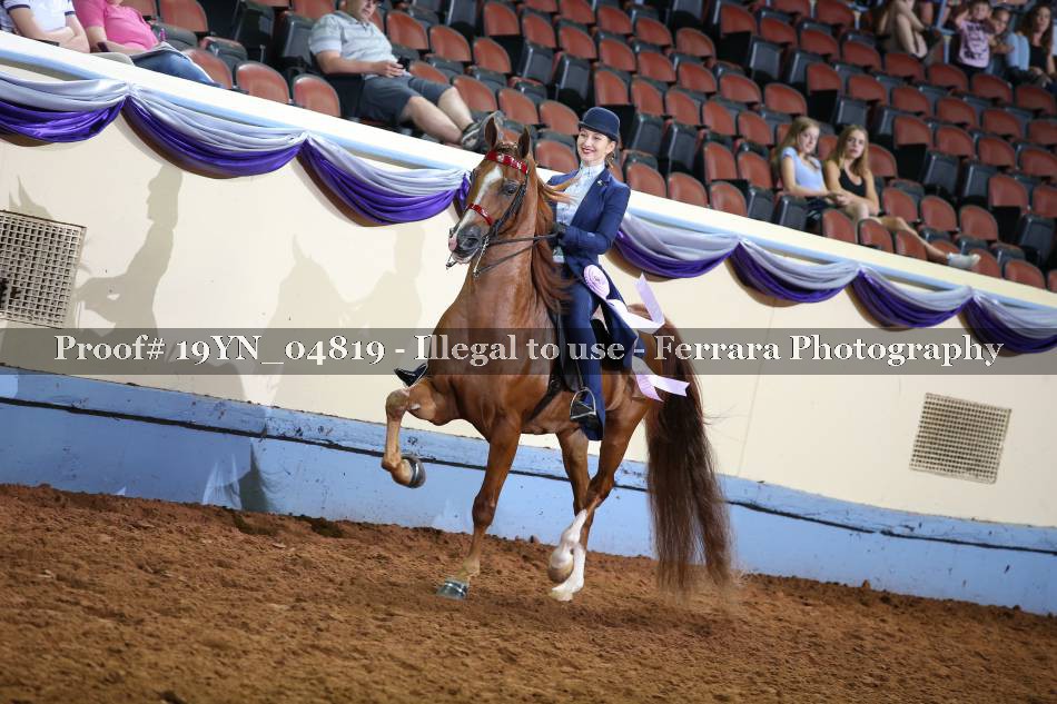 Proof 19YN_04819