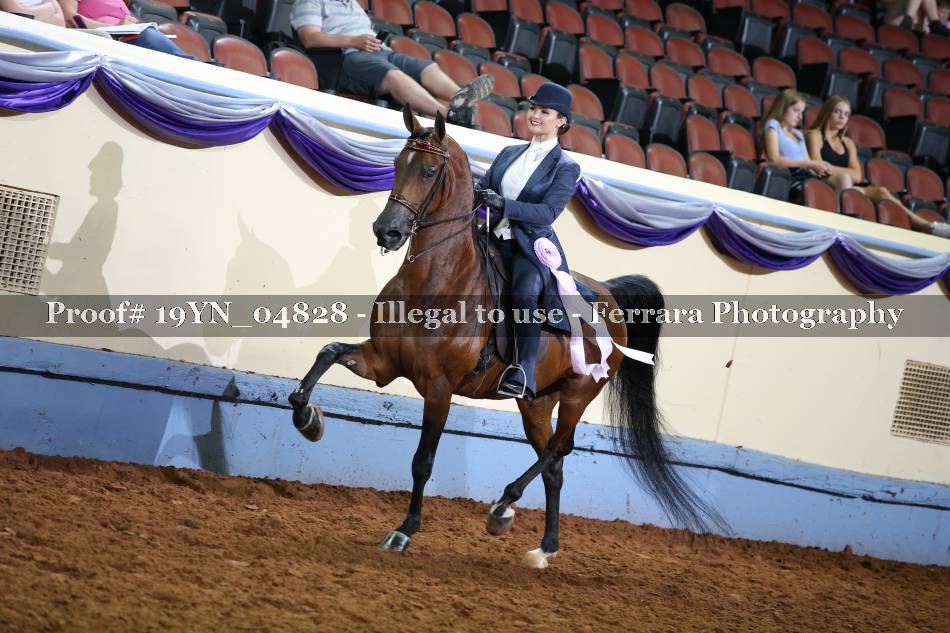 Proof 19YN_04828