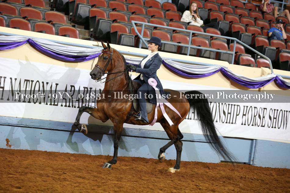 Proof 19YN_04831