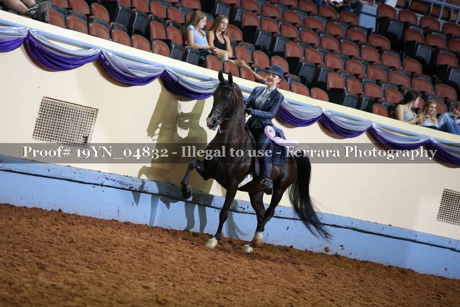 Proof 19YN_04832