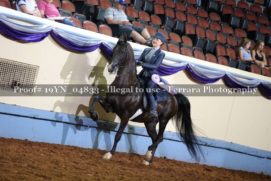 Proof 19YN_04833