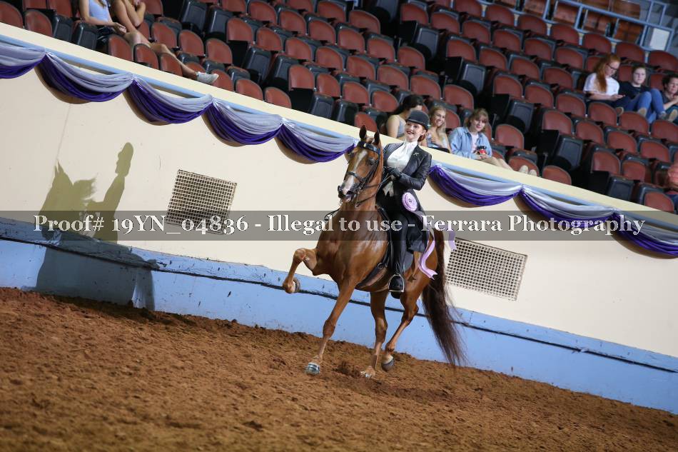 Proof 19YN_04836
