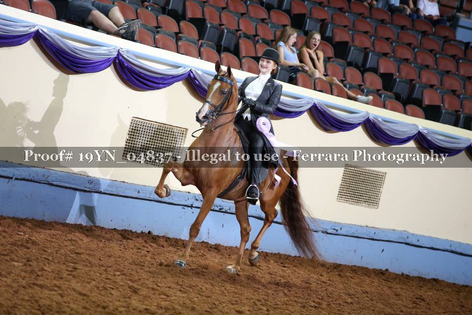 Proof 19YN_04837