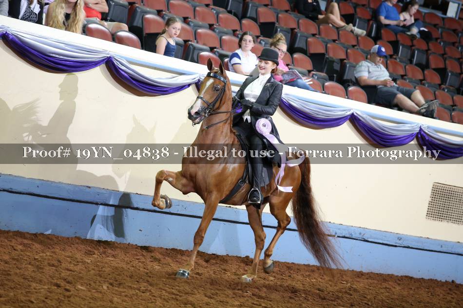 Proof 19YN_04838