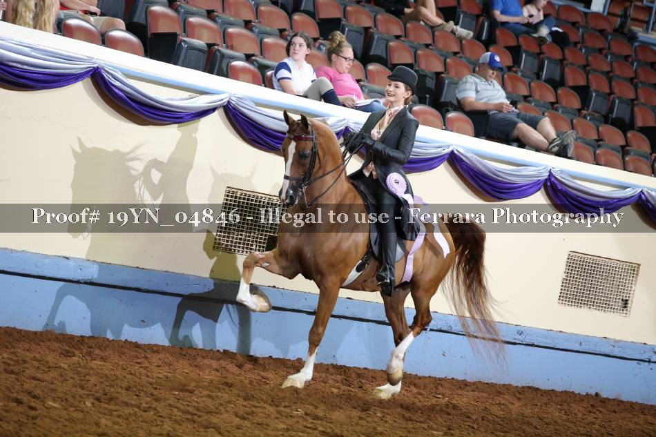 Proof 19YN_04846
