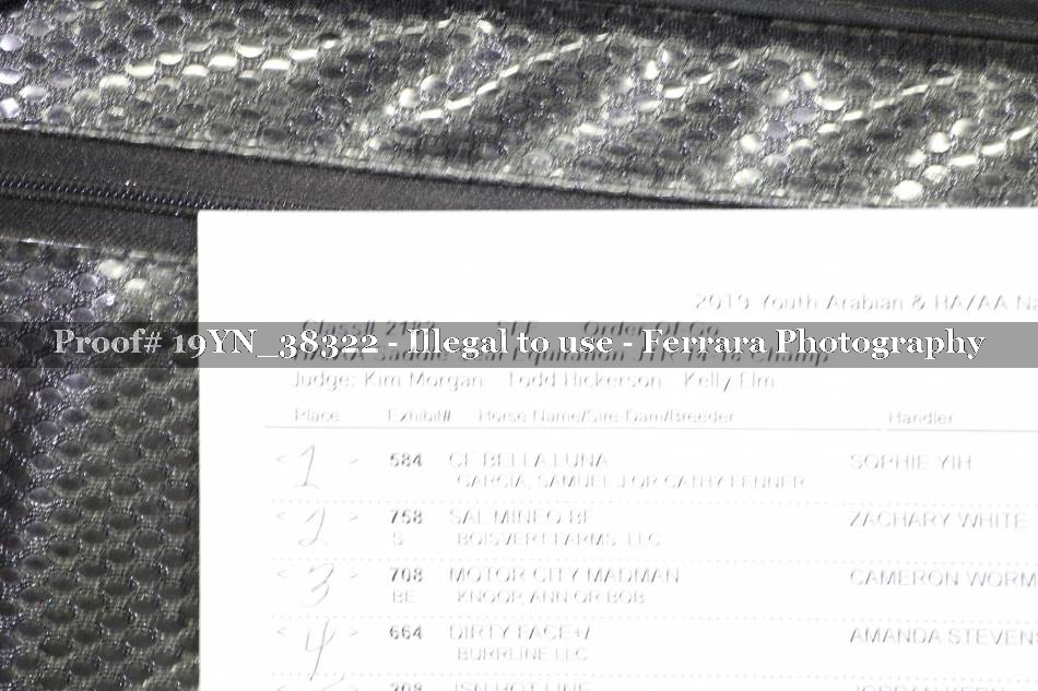 Proof 19YN_38322