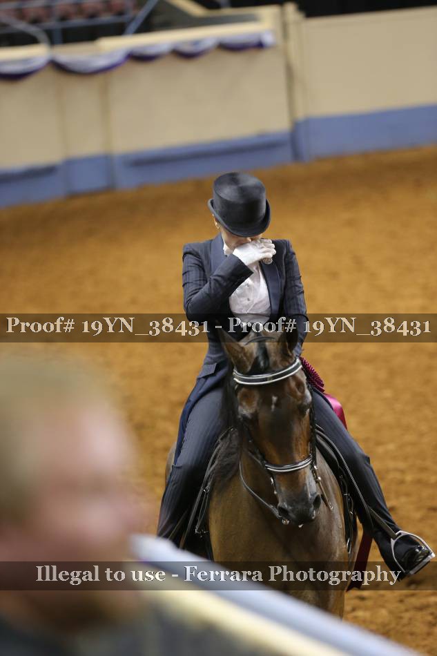 Proof 19YN_38431