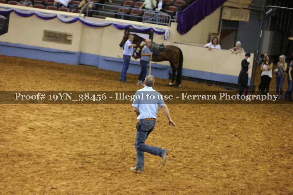 Proof 19YN_38456