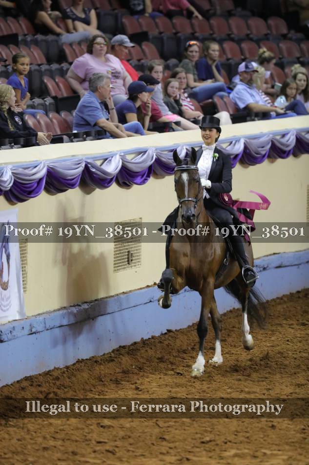 Proof 19YN_38501