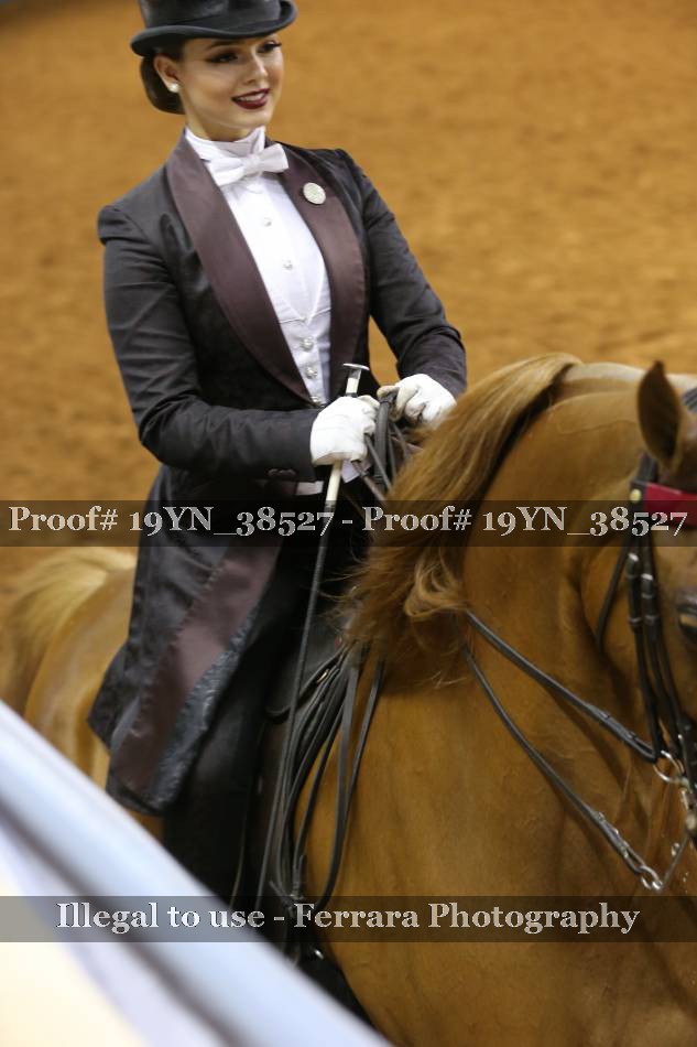 Proof 19YN_38527