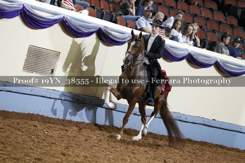 Proof 19YN_38555